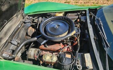 Unknown-Corvette-1975-Green-Brown-7