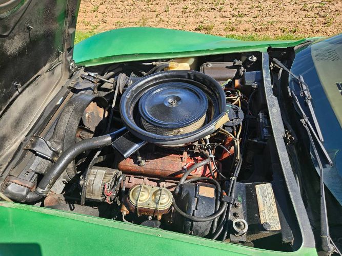 Unknown-Corvette-1975-Green-Brown-7