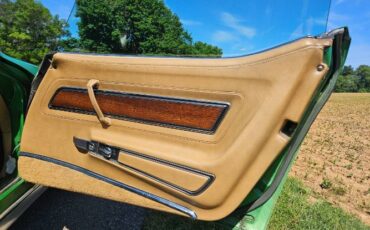 Unknown-Corvette-1975-Green-Brown-8