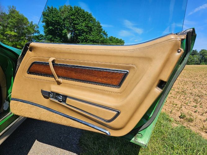 Unknown-Corvette-1975-Green-Brown-8