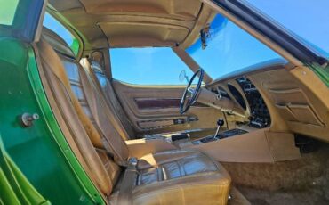 Unknown-Corvette-1975-Green-Brown-9