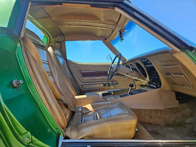 Unknown-Corvette-1975-Green-Brown-9