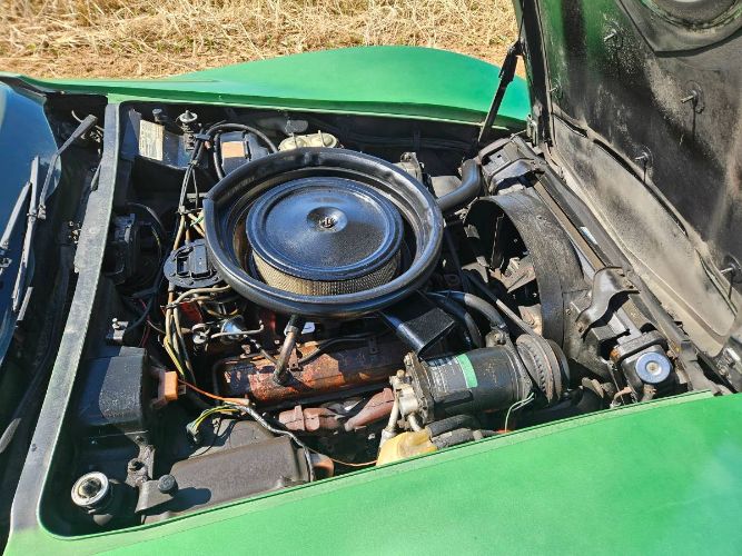 Unknown-Corvette-1975-Green-Brown