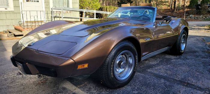 Unknown-Corvette-1975-Medium-Saddle-Brown-Tan-Leather-4