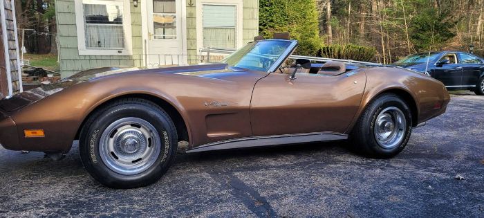Unknown-Corvette-1975-Medium-Saddle-Brown-Tan-Leather-9