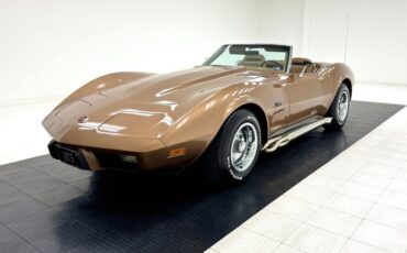 Unknown-Corvette-1975-Medium-Saddle-Metall-Medium-Saddle-1