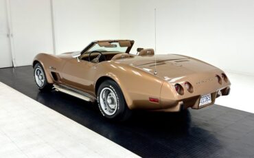 Unknown-Corvette-1975-Medium-Saddle-Metall-Medium-Saddle-11