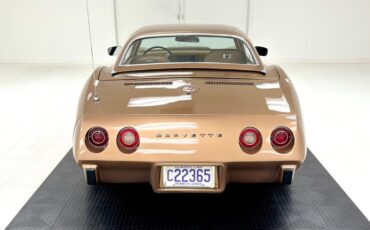 Unknown-Corvette-1975-Medium-Saddle-Metall-Medium-Saddle-12