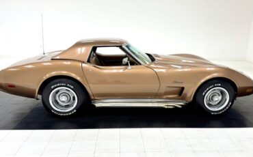 Unknown-Corvette-1975-Medium-Saddle-Metall-Medium-Saddle-14