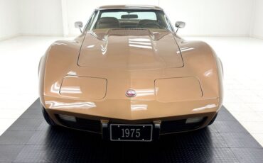Unknown-Corvette-1975-Medium-Saddle-Metall-Medium-Saddle-16