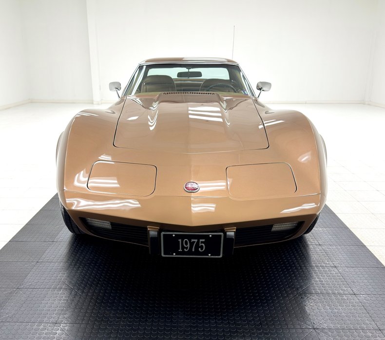 Unknown-Corvette-1975-Medium-Saddle-Metall-Medium-Saddle-16