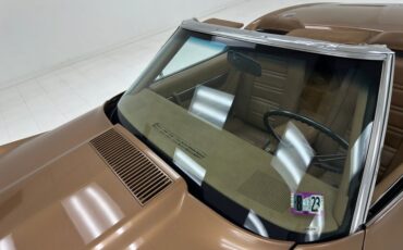 Unknown-Corvette-1975-Medium-Saddle-Metall-Medium-Saddle-17