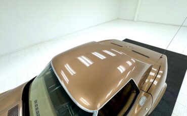 Unknown-Corvette-1975-Medium-Saddle-Metall-Medium-Saddle-18