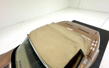 Unknown-Corvette-1975-Medium-Saddle-Metall-Medium-Saddle-19