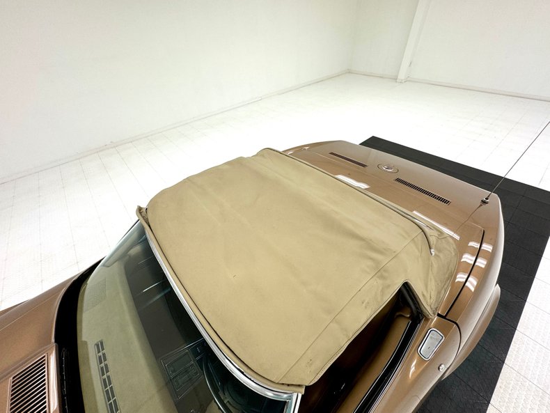 Unknown-Corvette-1975-Medium-Saddle-Metall-Medium-Saddle-19
