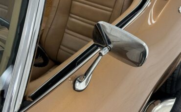 Unknown-Corvette-1975-Medium-Saddle-Metall-Medium-Saddle-20