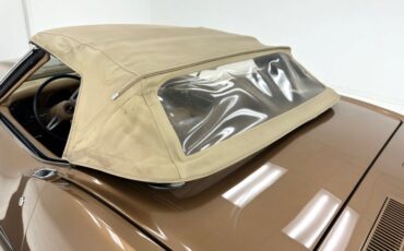 Unknown-Corvette-1975-Medium-Saddle-Metall-Medium-Saddle-23