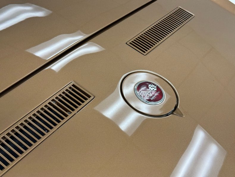 Unknown-Corvette-1975-Medium-Saddle-Metall-Medium-Saddle-24