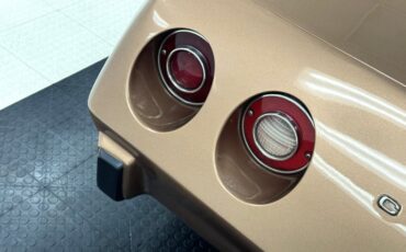 Unknown-Corvette-1975-Medium-Saddle-Metall-Medium-Saddle-25