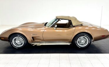 Unknown-Corvette-1975-Medium-Saddle-Metall-Medium-Saddle-3
