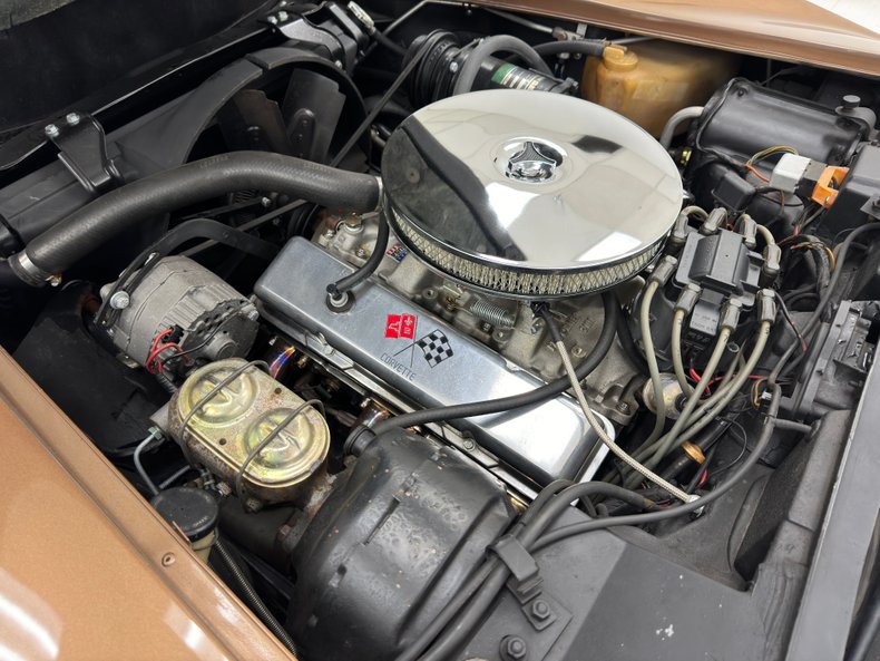 Unknown-Corvette-1975-Medium-Saddle-Metall-Medium-Saddle-33