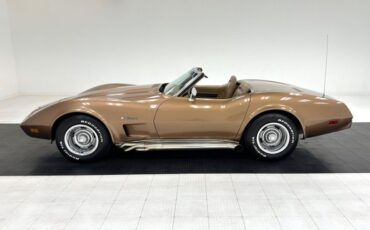 Unknown-Corvette-1975-Medium-Saddle-Metall-Medium-Saddle-4