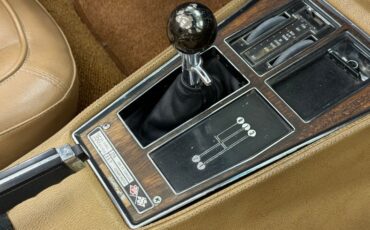 Unknown-Corvette-1975-Medium-Saddle-Metall-Medium-Saddle-47