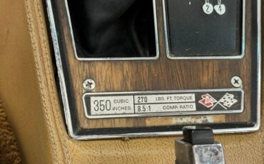 Unknown-Corvette-1975-Medium-Saddle-Metall-Medium-Saddle-48