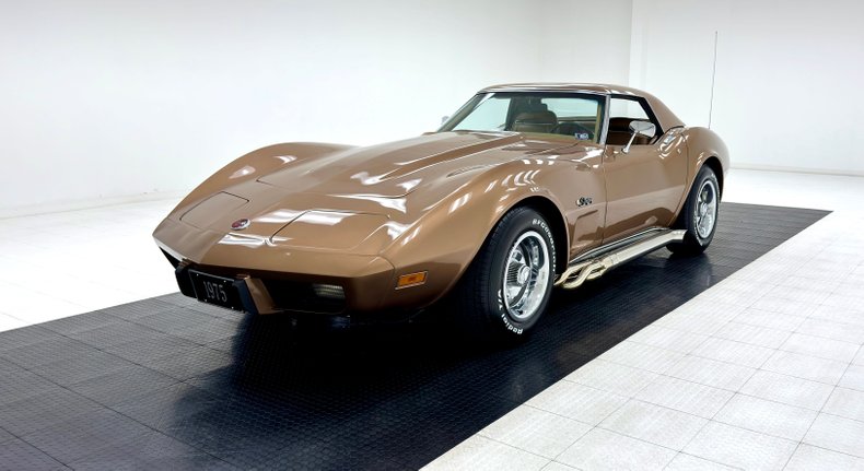 Unknown-Corvette-1975-Medium-Saddle-Metall-Medium-Saddle-49