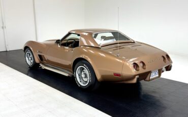 Unknown-Corvette-1975-Medium-Saddle-Metall-Medium-Saddle-5