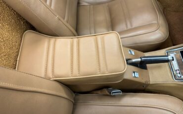Unknown-Corvette-1975-Medium-Saddle-Metall-Medium-Saddle-6