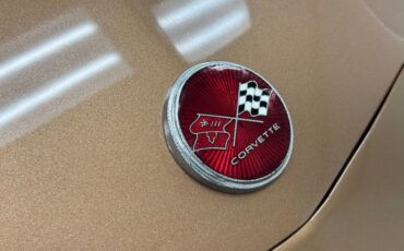 Unknown-Corvette-1975-Medium-Saddle-Metall-Medium-Saddle-7
