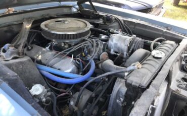 Unknown-Cougar-1967-Blue-Black-3