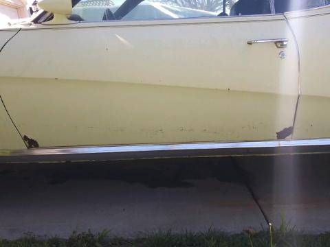 Unknown-Cougar-1969-Yellow-9