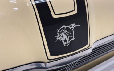 Unknown-Cougar-1969-Yellow-Black-14