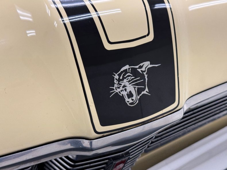 Unknown-Cougar-1969-Yellow-Black-14
