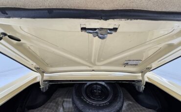 Unknown-Cougar-1969-Yellow-Black-30