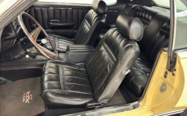 Unknown-Cougar-1969-Yellow-Black-36