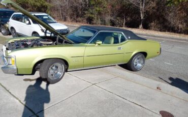 Unknown-Cougar-1973-Green-10