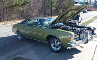 Unknown-Cougar-1973-Green-11