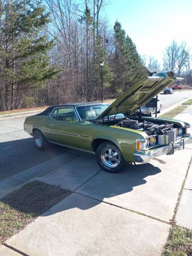 Unknown-Cougar-1973-Green-11