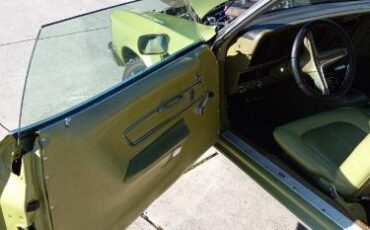 Unknown-Cougar-1973-Green-17