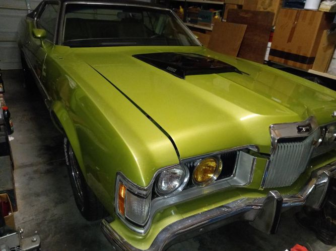 Unknown-Cougar-1973-Green-20