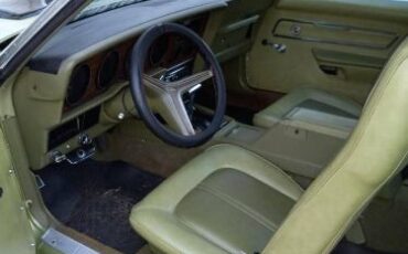 Unknown-Cougar-1973-Green-21