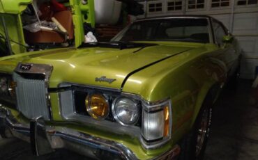 Unknown-Cougar-1973-Green-22