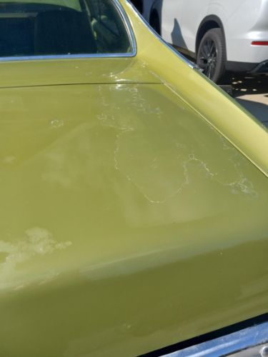 Unknown-Cougar-1973-Green-32