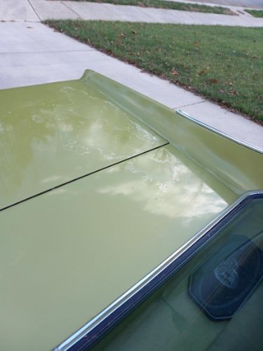 Unknown-Cougar-1973-Green-39