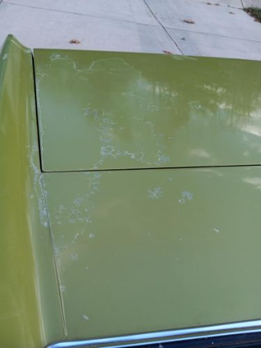Unknown-Cougar-1973-Green-40