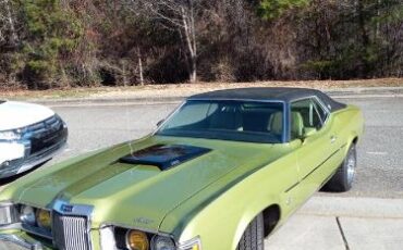 Unknown-Cougar-1973-Green-7