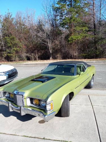 Unknown-Cougar-1973-Green-7